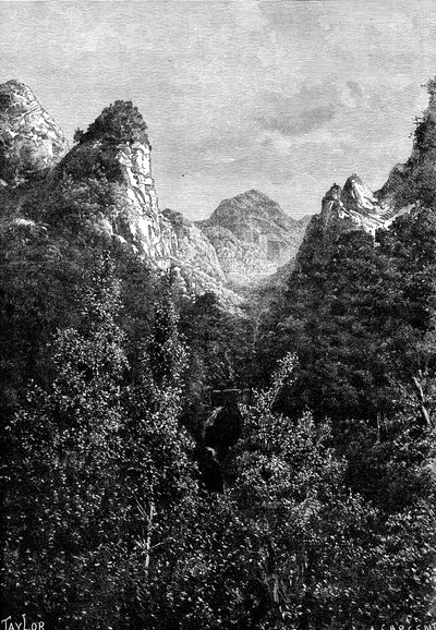 Madeira, Portugal, 1895 door Taylor