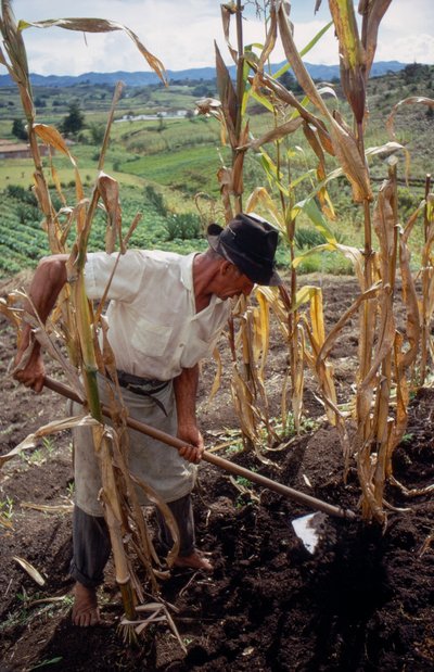 Benigno Marin, een boer, werkt op een veld in Colombia door Ted Spiegel