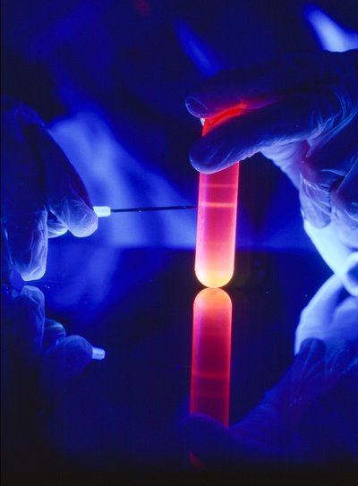 Nucleotiden van RNA extraheren uit een plastic centrifugebuis door Ted Spiegel