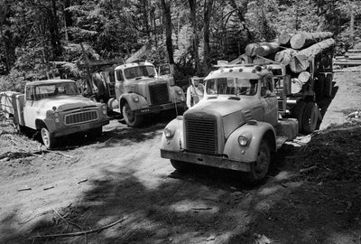 Vrachtwagens voor houtkap in een bos dat wordt geoogst in Oregon door Ted Spiegel