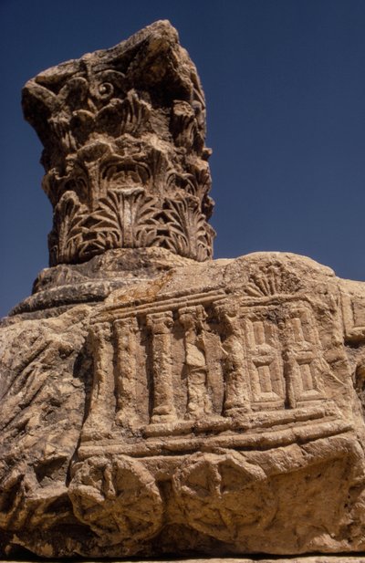 Synagoge Ruïnes in Kapernaüm, Israël door Ted Spiegel