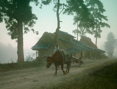  door Teijiro Takagi