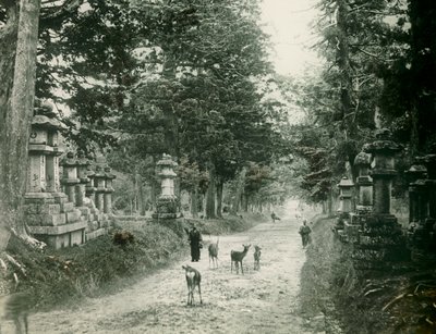  door Teijiro Takagi