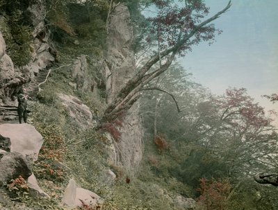 op weg naar de Kegon watervallen in Nikko, circa 1900 - 1915 (foto) door Teijiro Takagi