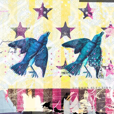 Vogels in serie, 2015 door Teis Albers