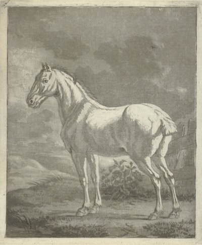 Schimmel in een wei door Tethart Philip Christian Haag