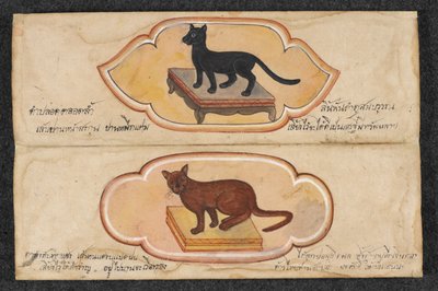 Siamese katten, Fol. 1: twee gelukkige katten om zaken te ondersteunen en rijkdom te vergaren door Thai School
