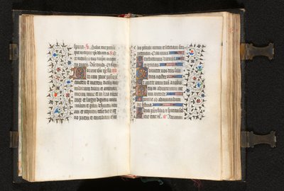 Getijdenboek Gebruik van Parijs: Fol. 105v, Initiaal D met versierde rand door The Bedford Master