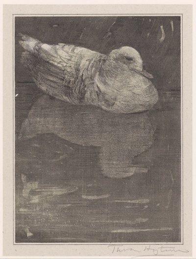 Drijvende eend door Theo van Hoytema (signed by artist)
