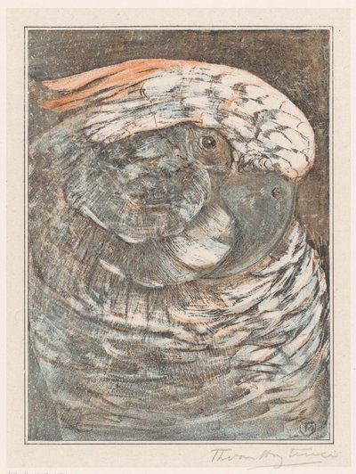 Kop van een papegaai door Theo van Hoytema (signed by artist)