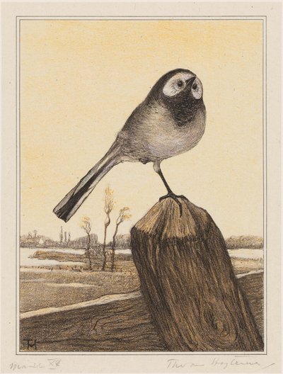 Kwikstaart op paal door Theo van Hoytema (signed by artist)