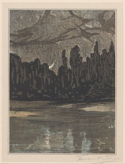 Nachtelijk landschap met trekvogels door Theo van Hoytema (signed by artist)