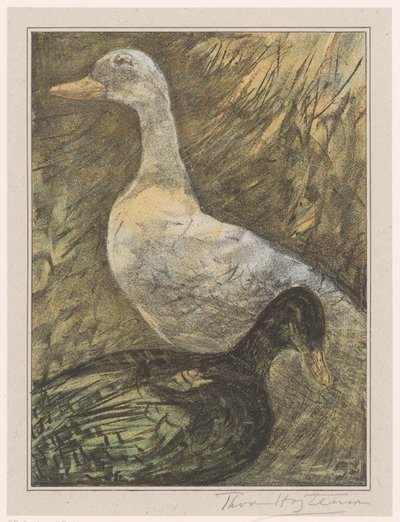Twee staande eenden door Theo van Hoytema (signed by artist)