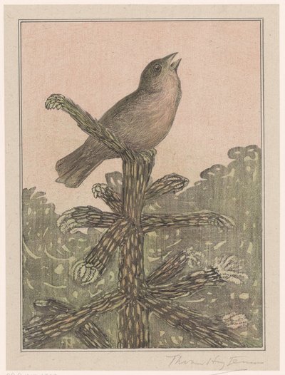 Zingende vogel op naaldboom door Theo van Hoytema (signed by artist)