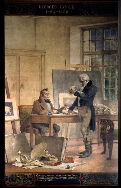 Paleontologie: Baron Georges Cuvier (1769-1832) verzamelt de documenten voor zijn werk over fossiele botten. Fresco door Théobald Chartran (1849-1907). Parijs, Universiteit van de Sorbonne door Theobald Chartran