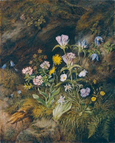 Alpine flora door Theodor Josef Petter