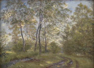 Een rivier bij Meilgård Manor, Jutland door Theodor Philipsen