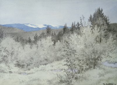 Ver weg in het bos door Theodor Kittelsen