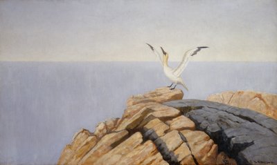 Zeezool door Theodor Kittelsen