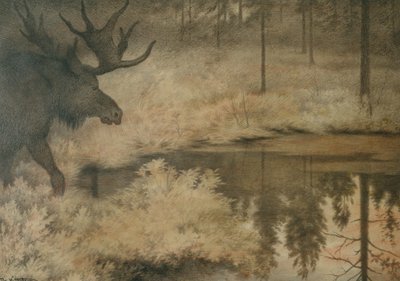 De eland komt zijn dorst lessen door Theodor Kittelsen