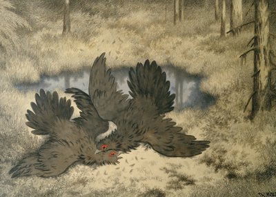 Het gevecht van de trollenvogel daarbinnen door Theodor Kittelsen