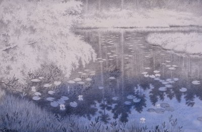 Daar ligt een vijver in Svartebudale door Theodor Kittelsen
