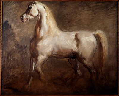 Studie van een wit paard in linker profiel door Théodore Chassériau
