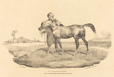 Een Arabisch paard door Theodore Gericault