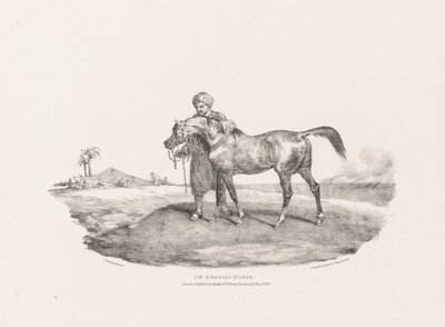 Een Arabisch paard door Theodore Gericault