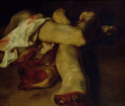 Anatomische Stukken door Theodore Gericault