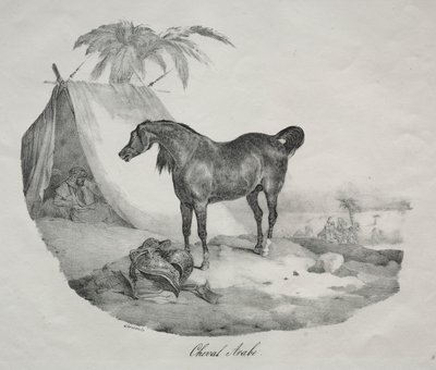 Arabisch paard door Theodore Gericault