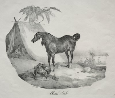 Arabisch Paard door Theodore Gericault