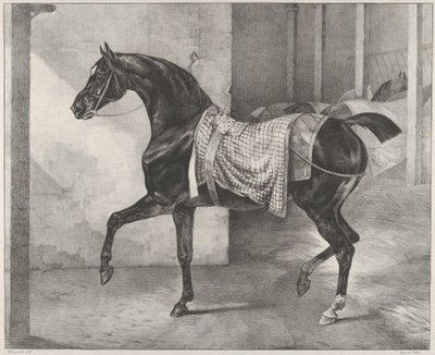 Een zwart paard, vastgebonden in een stal door Theodore Gericault