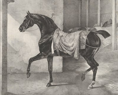 Zwart paard vastgebonden in een stal, 1822 door Theodore Gericault