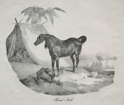 Arabisch Paard door Theodore Gericault