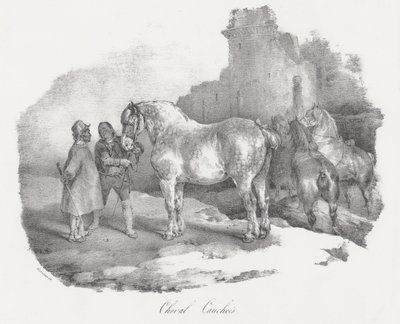 Cheval Cauchois (een inheems paardenras uit Caux, Normandië) door Theodore Gericault