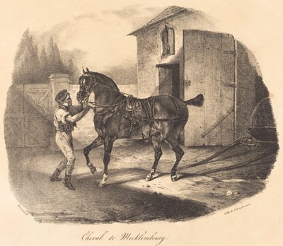 Paard van Mecklenburg door Theodore Gericault