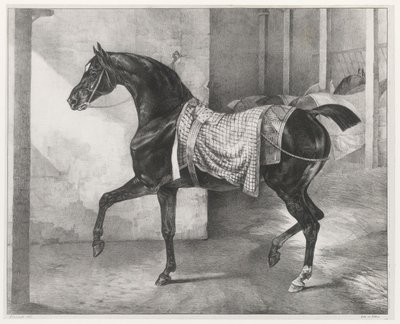 Een zwart paard vastgebonden in een stal (A Black Horse Tethered in a Stable) door Theodore Gericault