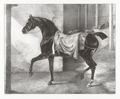 Een zwart paard vastgebonden in een stal (A Black Horse Tethered in a Stable) door Theodore Gericault
