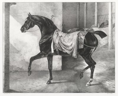 Een zwart paard vastgebonden in een stal (A Black Horse Tethered in a Stable) door Theodore Gericault