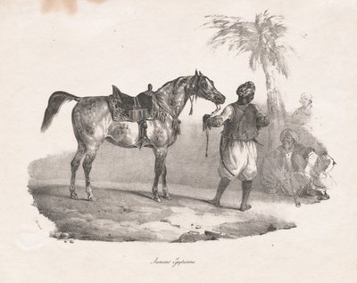 Egyptische Merrie door Theodore Gericault