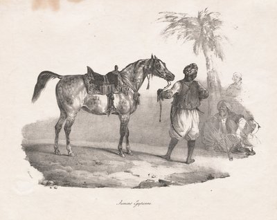 Egyptische Merrie door Theodore Gericault