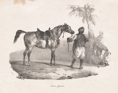 Egyptische Merrie, 1822 door Theodore Gericault