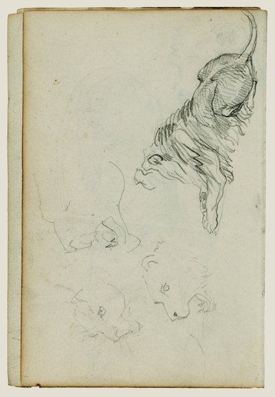 Vier leeuwenstudies door Theodore Gericault