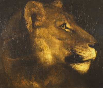 Hoofd van een leeuwin door Theodore Gericault