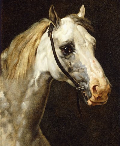 Hoofd van een bont paard door Theodore Gericault