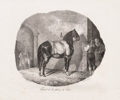 Paard van de Caen-vlakte door Theodore Gericault