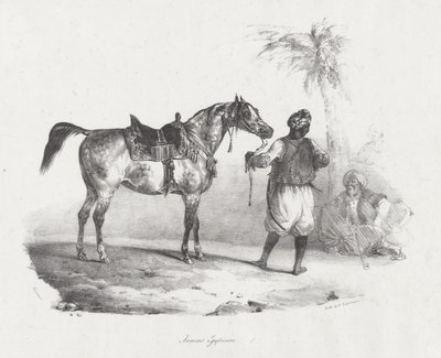 Egyptische merrie (An Egyptian Mare) door Theodore Gericault