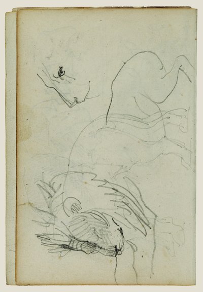 Leeuw studies door Theodore Gericault