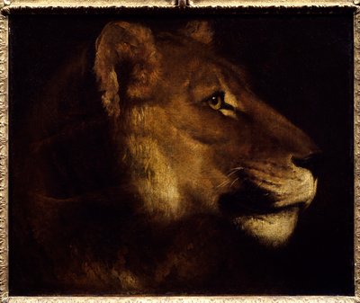 Kop van leeuwin door Theodore Gericault